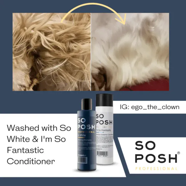So Posh, So White whitening shampoo, 1L