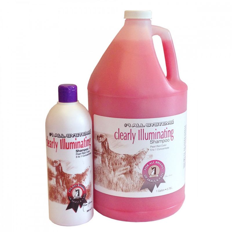 #1 All Systems Clearly Illuminating Shampoo