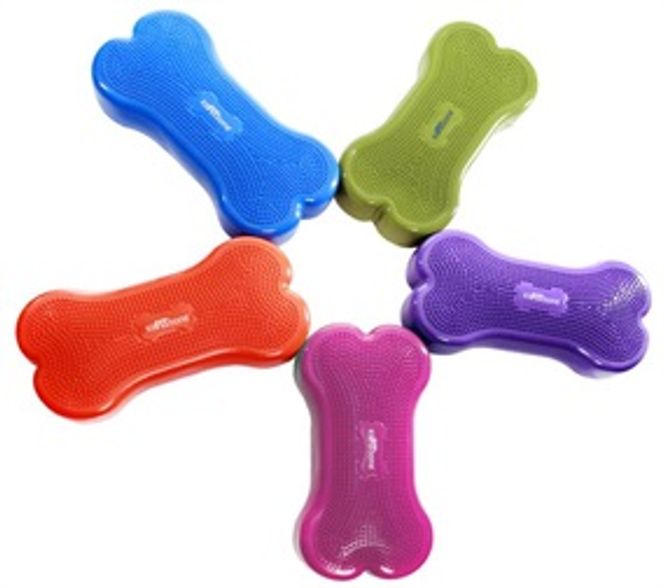 Hovedbilde FitPaws  Bone, blå og lilla