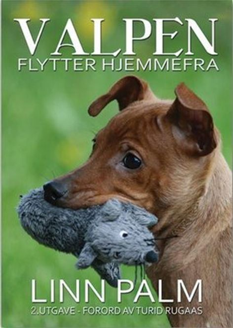 Hovedbilde Valpen flytter hjemmefra